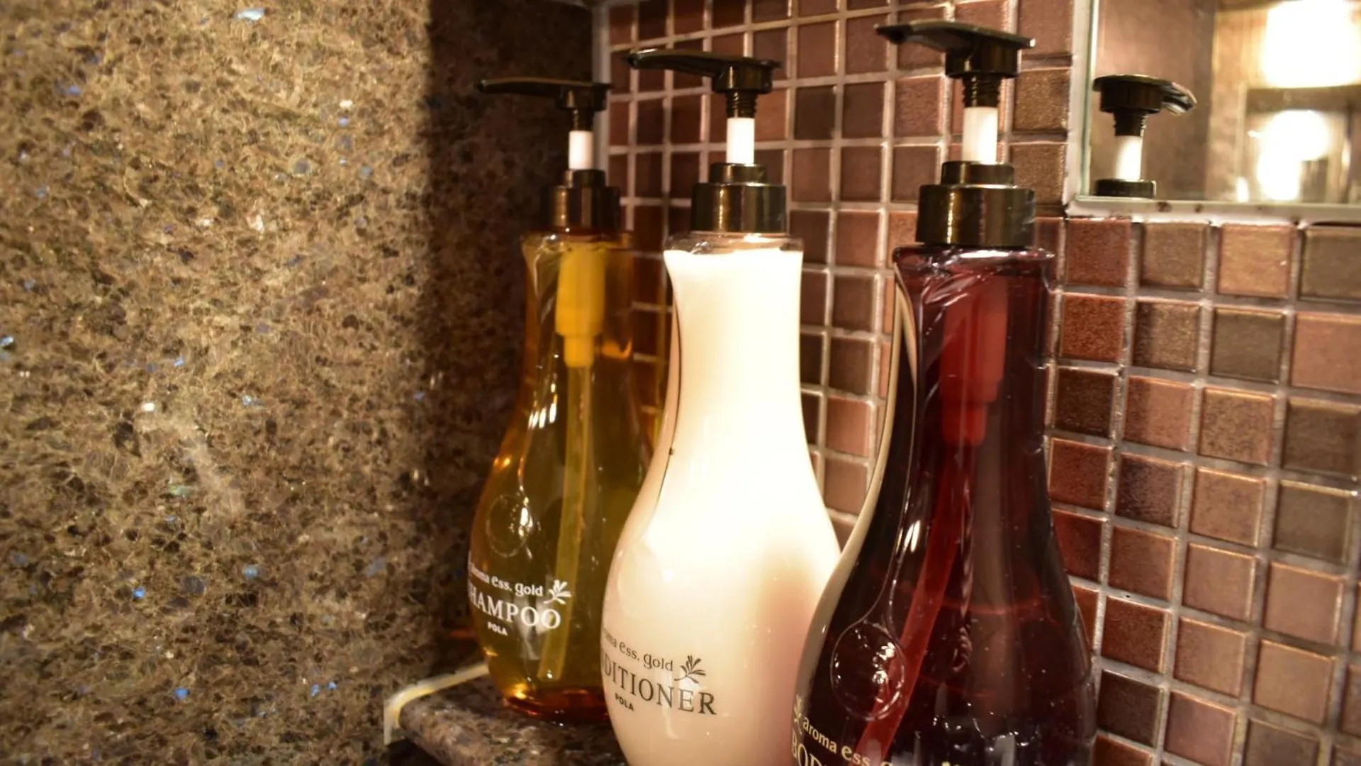 *** Hotel Dormy Inn Kobe Motomachi Natural Hot Springs Japan